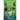 Monster Mission