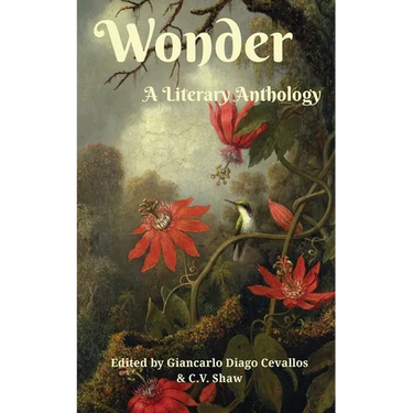 Wonder