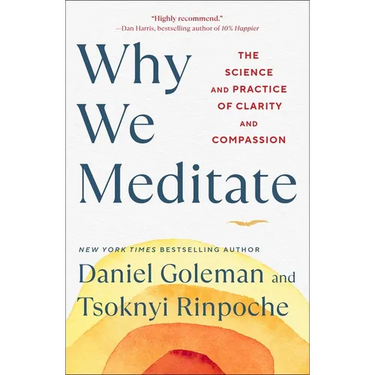Why We Meditate: The Science and Practice of Clarity and Compassion