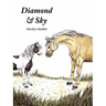 Diamond & Sky