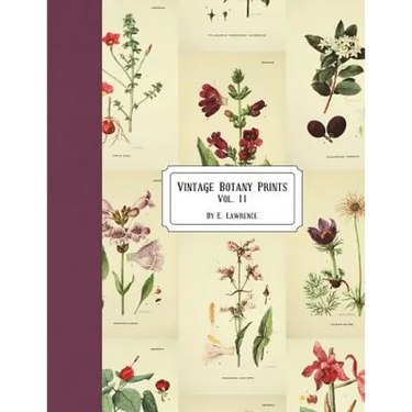Vintage Botany Prints: Vol. 11
