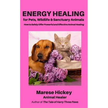 Energy Healing for Pets, Wildlife & Sanctuary Animals: How to Safely Offer Powerful and Effective Animal Healing