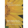 Mass Awakening: What's Really Going On? 2020 -30 Minute Synopsis