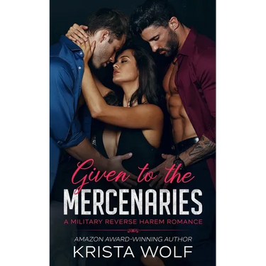 Given to the Mercenaries: A Military Reverse Harem Romance