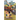 The Curious Clues