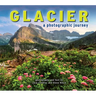 Glacier: A Photographic Journey