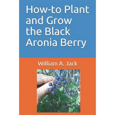 How-To Plant and Grow the Black Aronia Berry