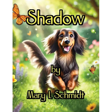 Shadow