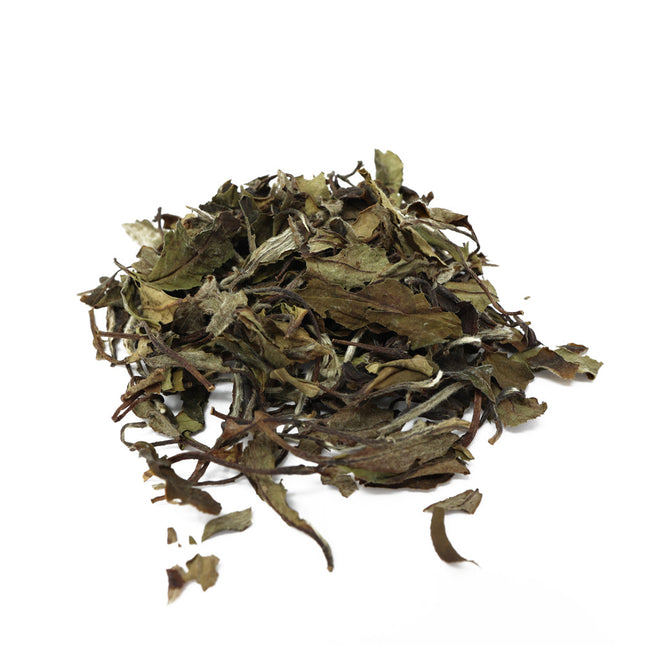 2015 Handpicked GongMei White Tea by Tea and Whisk