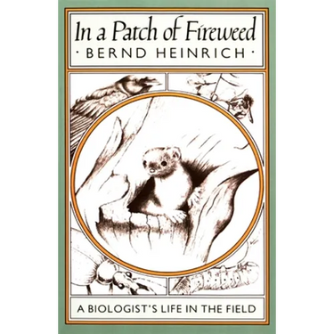 In a Patch of Fireweed: A Biologist's Life in the Field