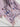 2393e435-6f50-445c-a983-368acb4e3ec7-Max