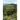 Forest Health