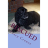 Rescued: The Story of a Cocker Spaniel's Second Chance at Life