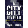 A City Divided: Race, Fear and the Law in Police Confrontations
