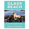 Glass Beach: A Field Survey / Fort Bragg, California