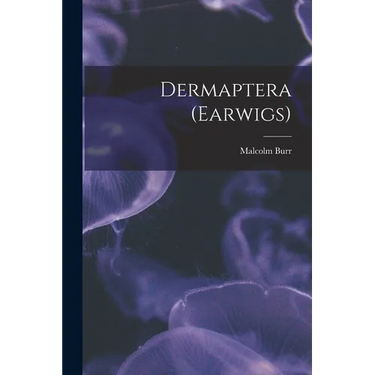 Dermaptera (Earwigs)