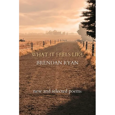 What It Feels Like