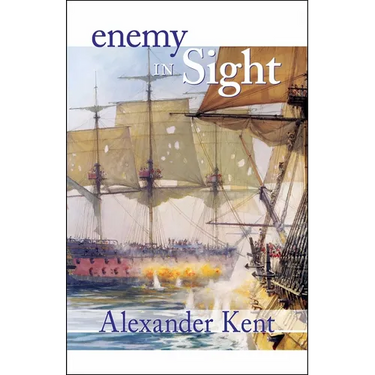 Enemy in Sight!