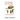 The Vietnam War for Kids: The English Reading Tree