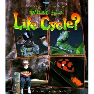 What Is a Life Cycle?
