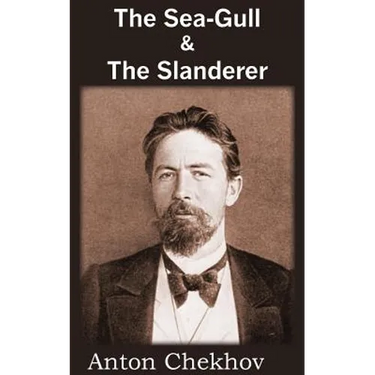 The Sea-Gull & the Slanderer