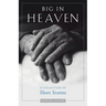Big in Heaven: A Collection of Short Stories