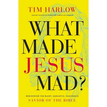 What Made Jesus Mad?*: Rediscover the Blunt, Sarcastic, Passionate Savior of the Bible