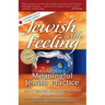 Jewish with Feeling: A Guide to Meaningful Jewish Practice