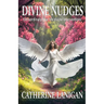 Divine Nudges