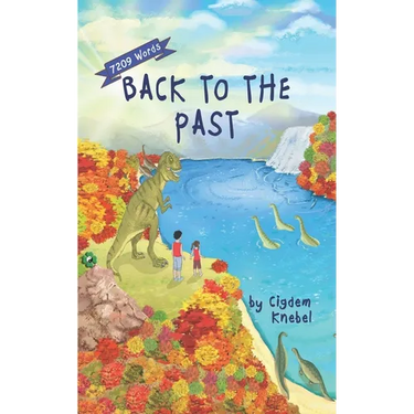 Back To The Past: Decodable Chapter Books For Kids With Dyslexia