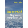 Breathe God: A 7 Day Journey to Experience God