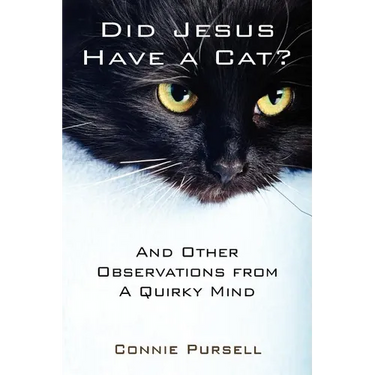 Did Jesus Have a Cat?: And Other Observations from a Quirky Mind