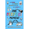 One Perfect Moment
