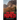 The Sinai Prophecy