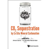 CO2 Sequestration by Ex-Situ Mineral Carbonation