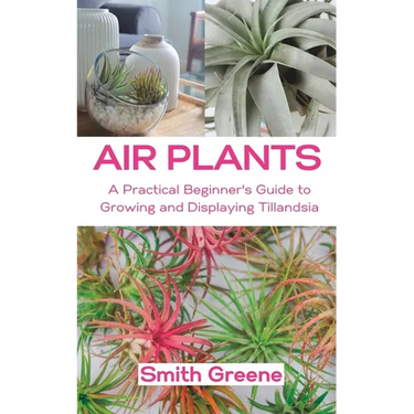 Air Plants: A Practical Beginner's Guide to Growing and Displaying Tillandsia