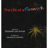 The Life of a Firework