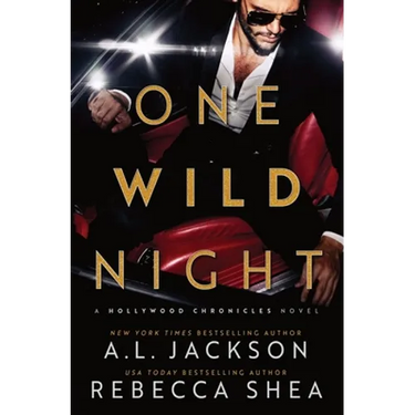 One Wild Night: A Hollywood Standalone Romance