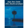 Soups, Stews, Gumbos, Chilis, Chowders and Bisques - courtesy of some of the finest restaurants in the South Carolina Lowcountry