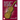 Beginner Violin Theory and Sight Reading for Children, Book One