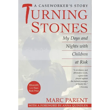 Turning Stones: My Days and Nights with Children at Risk A Caseworker's Story