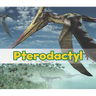 Pterodactyl