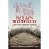 Pathways to Complexity: A View from the Maya Lowlands