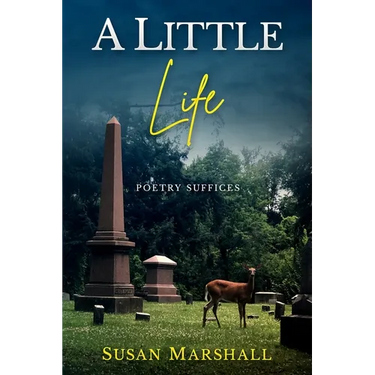 A Little Life