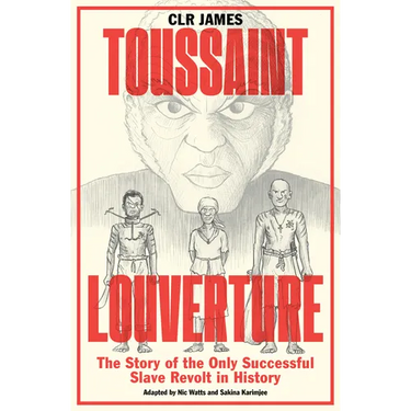 Toussaint Louverture: The Story of the Only Successful Slave Revolt in History