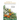A Guide to Medicinal Plants