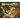 Compostion: composition of compost