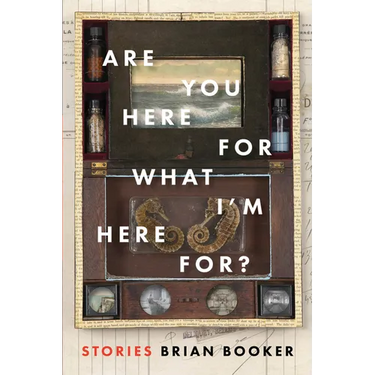 Are You Here for What I'm Here For?