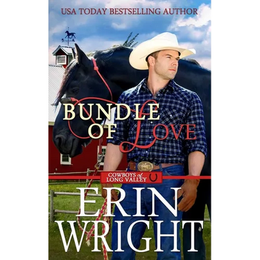 Bundle of Love: An Office Contemporary Western Romance