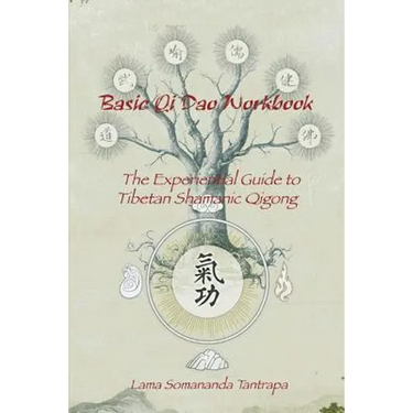 Basic Qi Dao Workbook: The Experiential Guide To Tibetan Shamanic Qigong